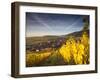 Riquewihr, Alsatian Wine Route, Alsace Region, Haut-Rhin, France-Walter Bibikow-Framed Photographic Print