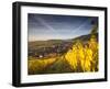 Riquewihr, Alsatian Wine Route, Alsace Region, Haut-Rhin, France-Walter Bibikow-Framed Photographic Print