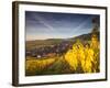 Riquewihr, Alsatian Wine Route, Alsace Region, Haut-Rhin, France-Walter Bibikow-Framed Photographic Print