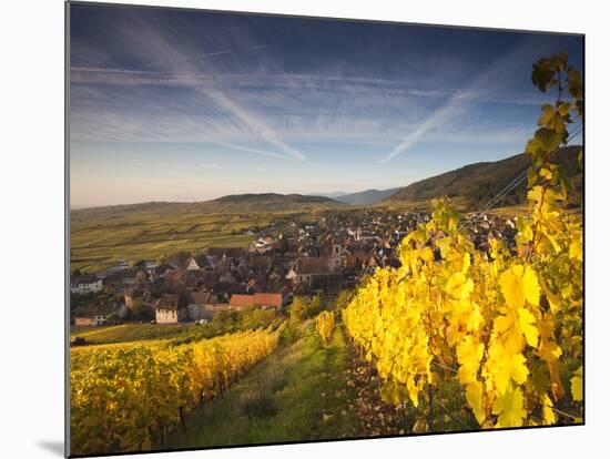 Riquewihr, Alsatian Wine Route, Alsace Region, Haut-Rhin, France-Walter Bibikow-Mounted Photographic Print