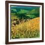 Riquewihr-Philip Craig-Framed Art Print