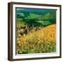 Riquewihr-Philip Craig-Framed Art Print