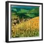 Riquewihr-Philip Craig-Framed Art Print