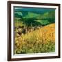 Riquewihr-Philip Craig-Framed Art Print