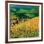 Riquewihr-Philip Craig-Framed Art Print