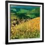 Riquewihr-Philip Craig-Framed Art Print