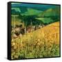 Riquewihr-Philip Craig-Framed Stretched Canvas