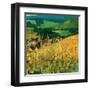 Riquewihr-Philip Craig-Framed Art Print