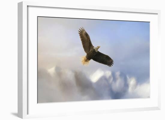 Rise Above Bald Eagle-Jai Johnson-Framed Giclee Print