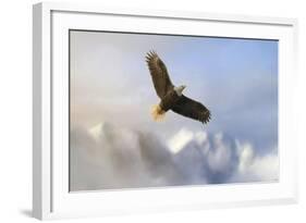 Rise Above Bald Eagle-Jai Johnson-Framed Giclee Print
