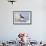 Rise Above Bald Eagle-Jai Johnson-Framed Giclee Print displayed on a wall