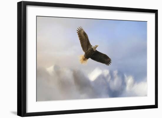 Rise Above Bald Eagle-Jai Johnson-Framed Giclee Print