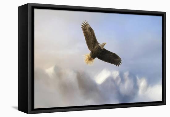 Rise Above Bald Eagle-Jai Johnson-Framed Stretched Canvas