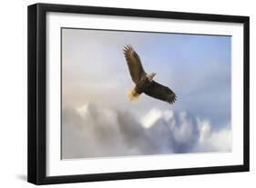 Rise Above Bald Eagle-Jai Johnson-Framed Premium Giclee Print