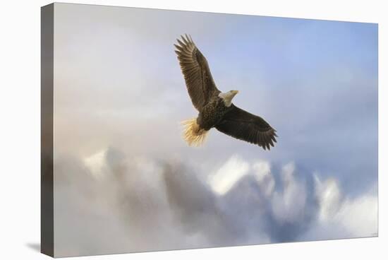 Rise Above Bald Eagle-Jai Johnson-Stretched Canvas