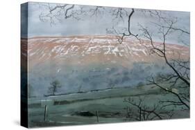Rise Hill in December, 1991-John Cooke-Stretched Canvas