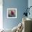 Rise' Ladybird on Chrysanthemum-Kirstie Adamson-Framed Giclee Print displayed on a wall