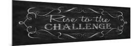 Rise to the Challenge-N. Harbick-Mounted Art Print