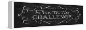 Rise to the Challenge-N. Harbick-Framed Stretched Canvas