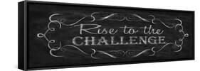 Rise to the Challenge-N. Harbick-Framed Stretched Canvas