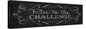 Rise to the Challenge-N. Harbick-Stretched Canvas