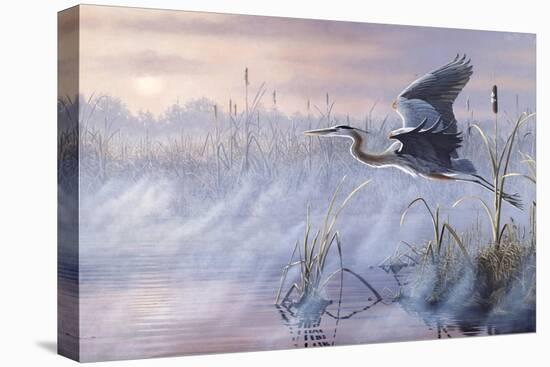 Rising Marsh-Wilhelm Goebel-Stretched Canvas
