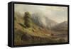 Rising Mist, 1867 (Oil on Canvas)-Robert Scott Duncanson-Framed Stretched Canvas