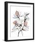 Rising Sprout 1-Doris Charest-Framed Art Print