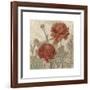 Rising Sun Blooms II-Megan Meagher-Framed Art Print