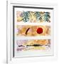 Rising Sun - Falling Coconut-Bill Beckley-Framed Collectable Print