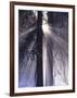 Rising Sun, Yosemite Valley, Yosemite National Park, Sierra Nevada, California-Christopher Bettencourt-Framed Photographic Print