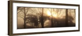 Rising Sun-Bill Philip-Framed Giclee Print