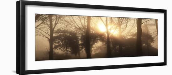 Rising Sun-Bill Philip-Framed Giclee Print