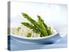 Risotto with Green Asparagus-null-Stretched Canvas