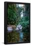 Essential Black