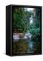 Canvas Black