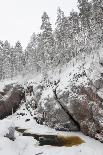 Snowy Log Cabin between Trees-Risto0-Photographic Print