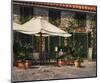 Ristorante Il Pozzo-Art Fronckowiak-Mounted Art Print