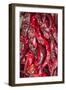 Ristras I-Kathy Mahan-Framed Photographic Print