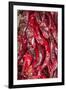 Ristras I-Kathy Mahan-Framed Photographic Print