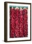 Ristras II-Kathy Mahan-Framed Photographic Print