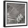 Black Frame