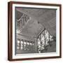 Brown Frame