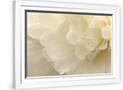 Gramercy White