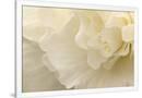 Gramercy White