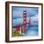 Brown Frame