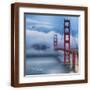 Brown Frame