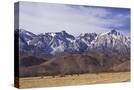 Stretched Canvas