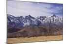 Wood Mount