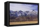 Canvas Black